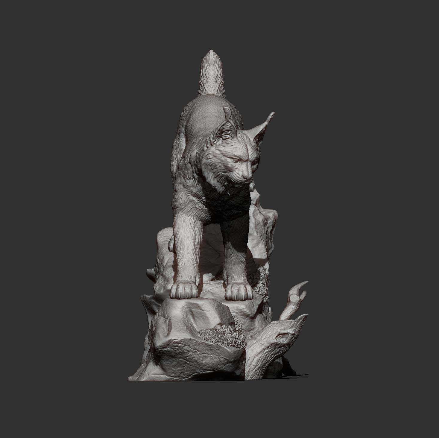 Lynx on the Rocks 3D Model