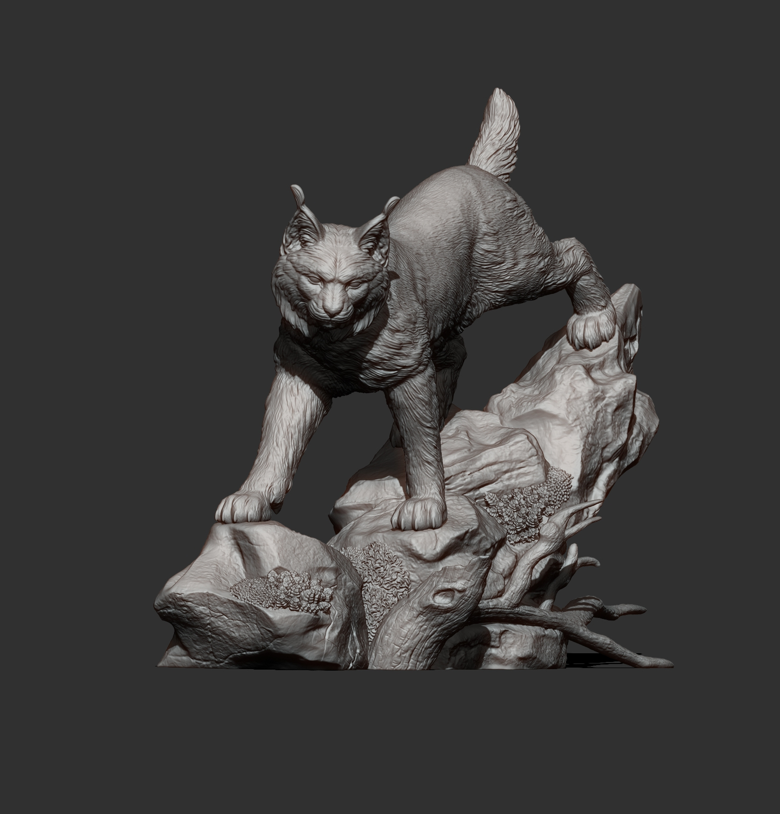 Lynx on the Rocks 3D Model