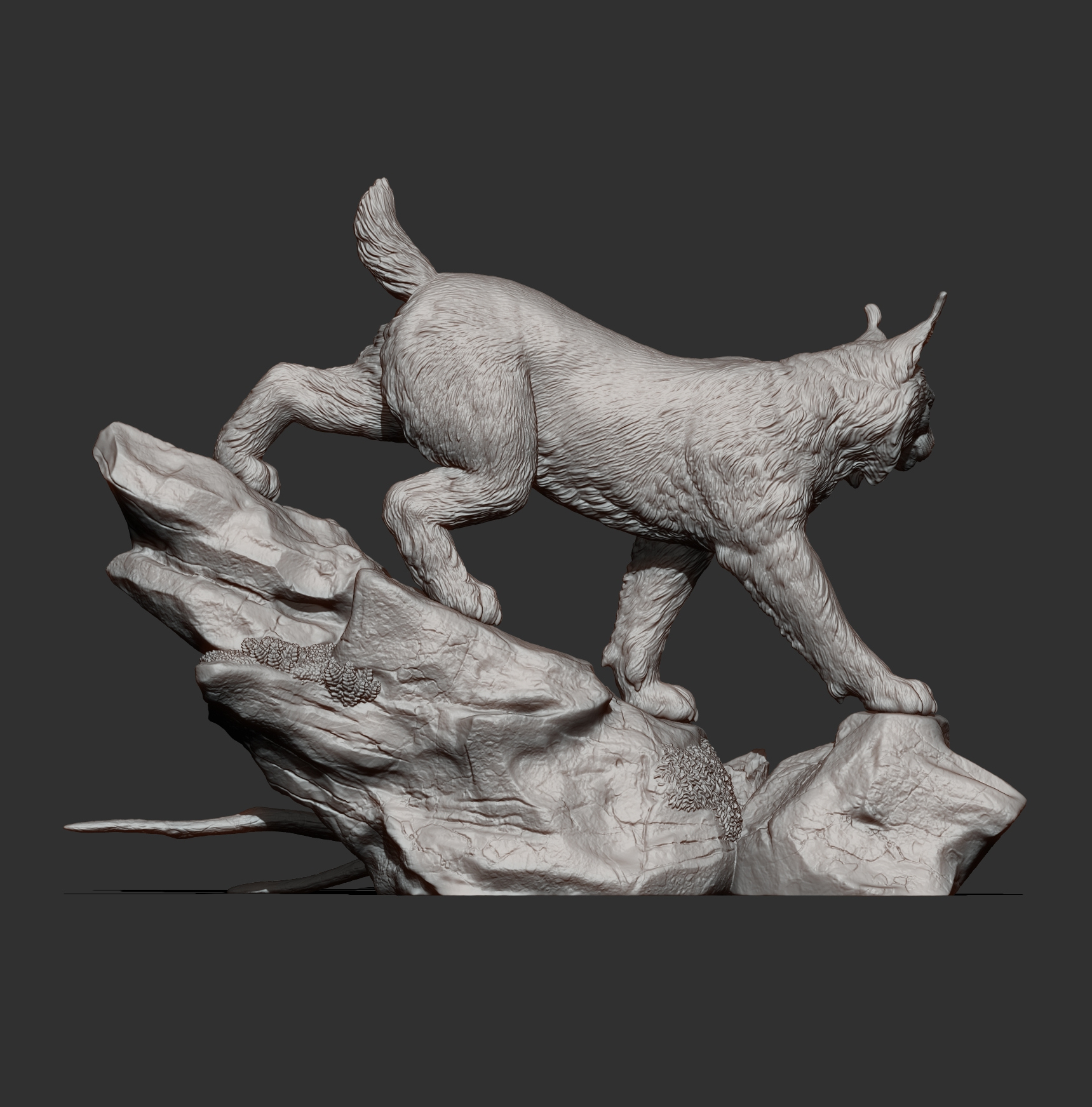 Lynx on the Rocks 3D Model