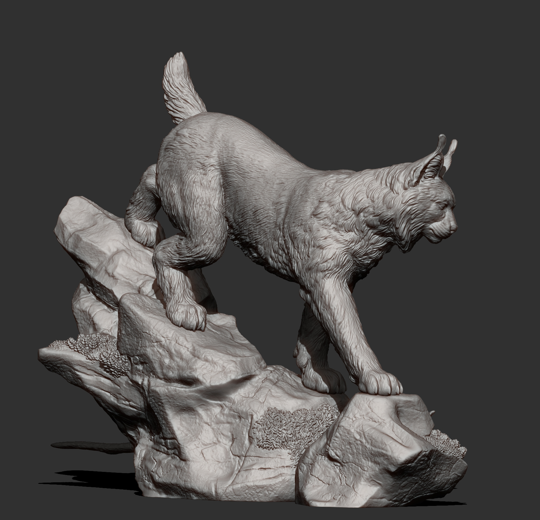 Lynx on the Rocks 3D Model