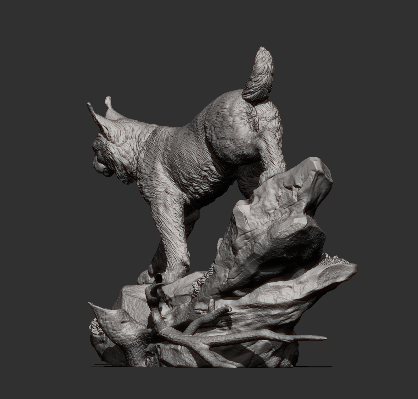 Lynx on the Rocks 3D Model