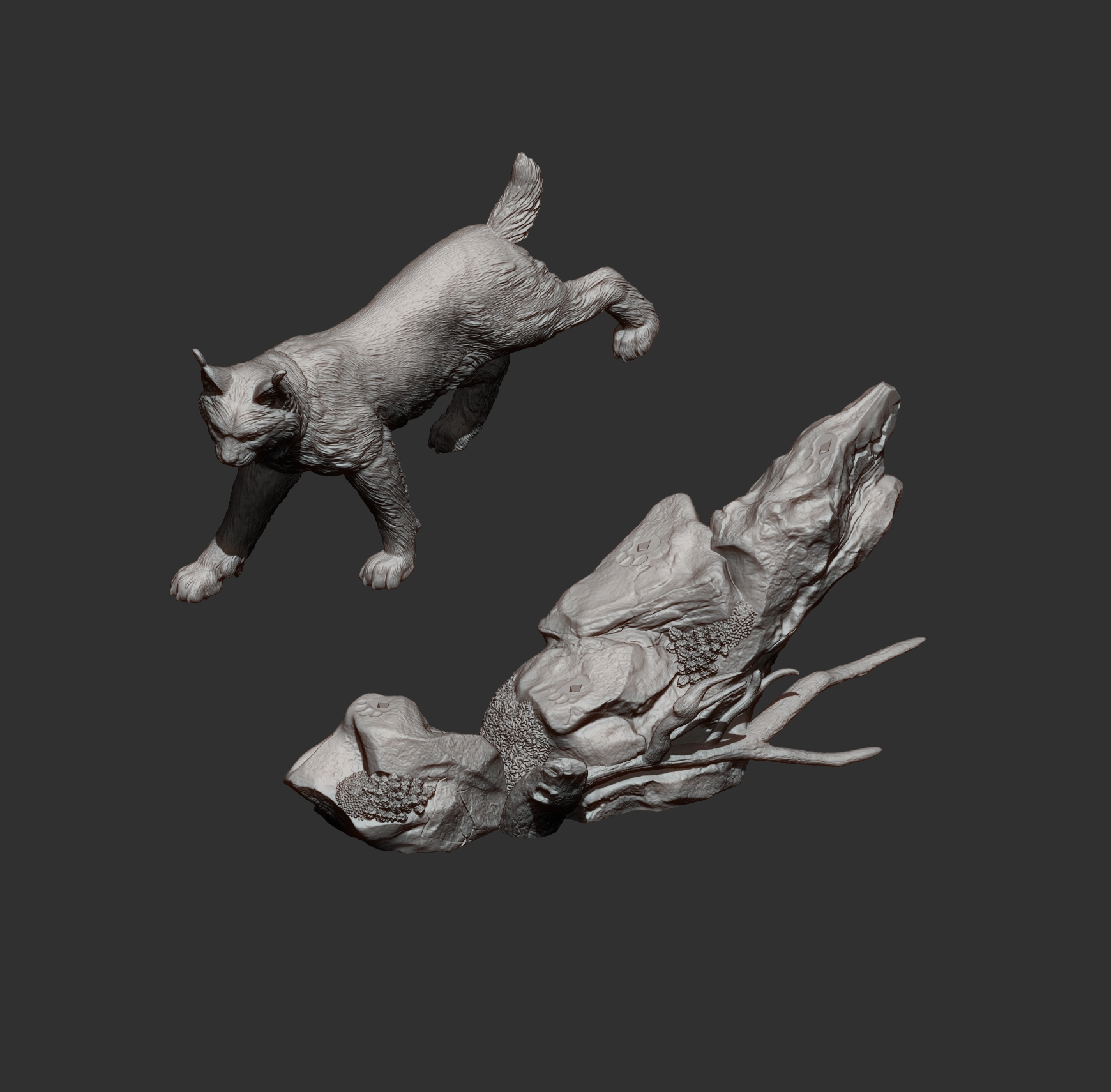 Lynx on the Rocks 3D Model