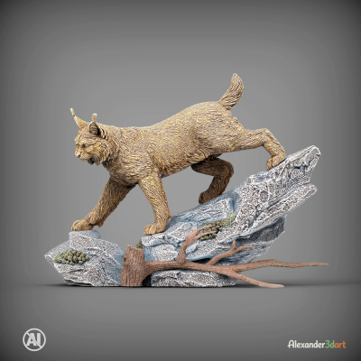 Lynx on the Rocks