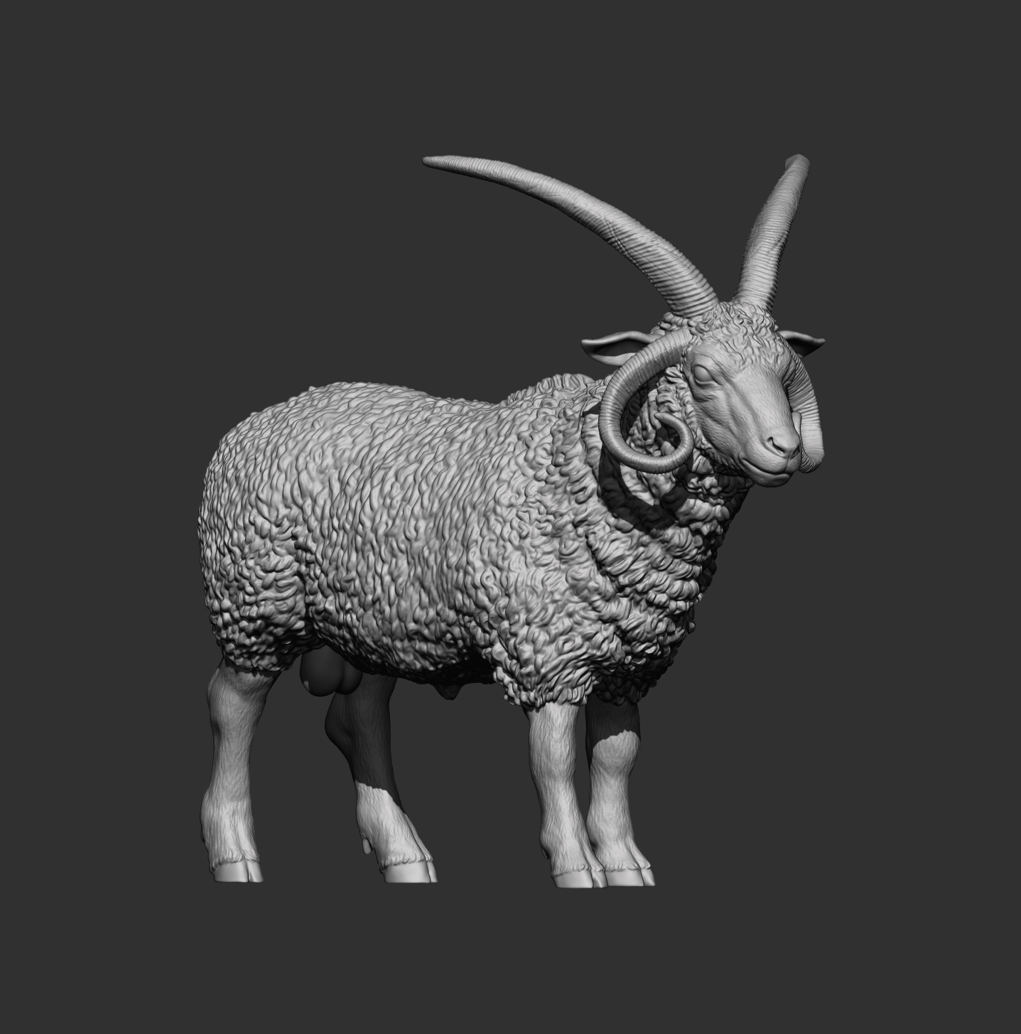 Manx Loaghtan Ram Realistic Four-Horned Sheep STL 3D 3D Model