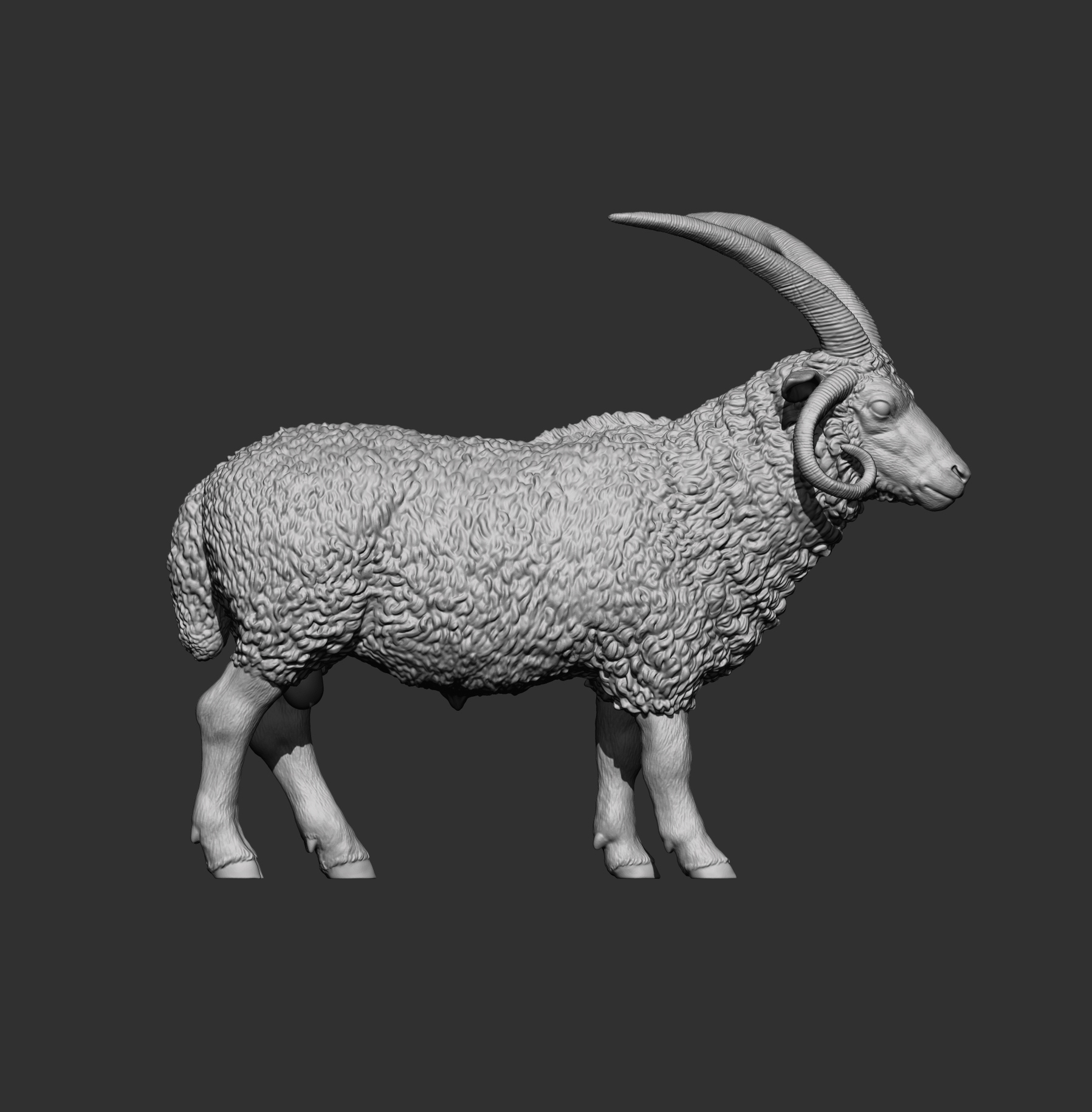 Manx Loaghtan Ram Realistic Four-Horned Sheep STL 3D 3D Model