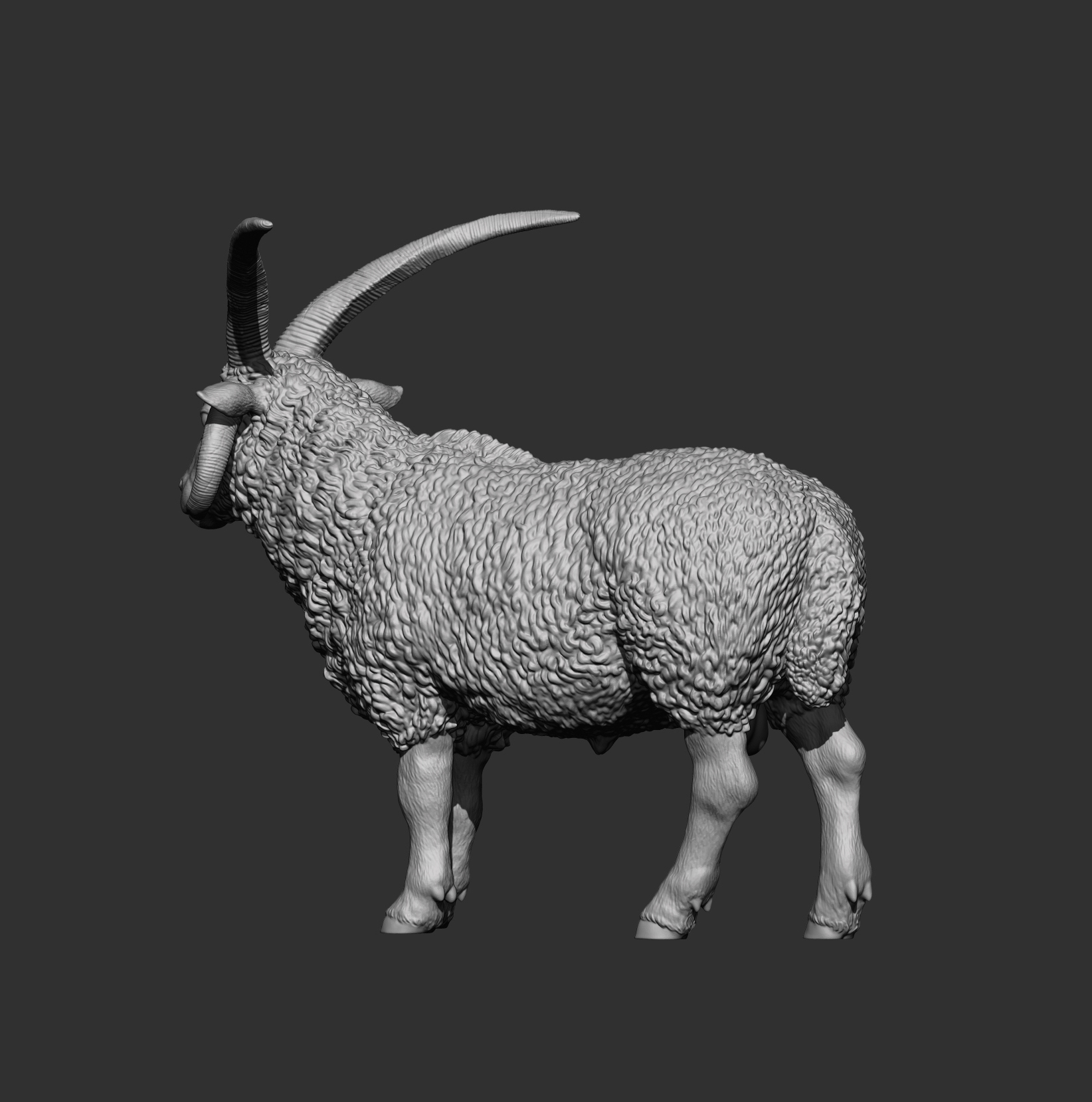 Manx Loaghtan Ram Realistic Four-Horned Sheep STL 3D 3D Model
