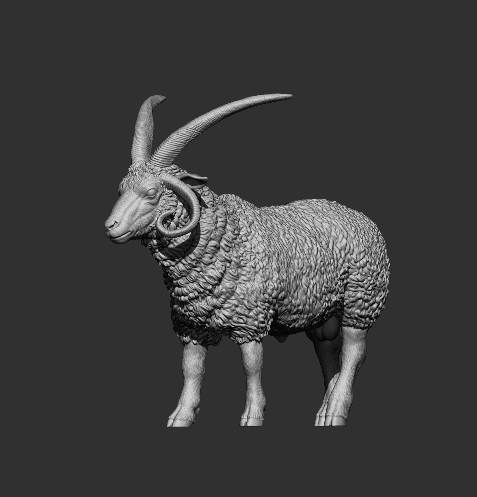 Manx Loaghtan Ram Realistic Four-Horned Sheep STL 3D 3D Model