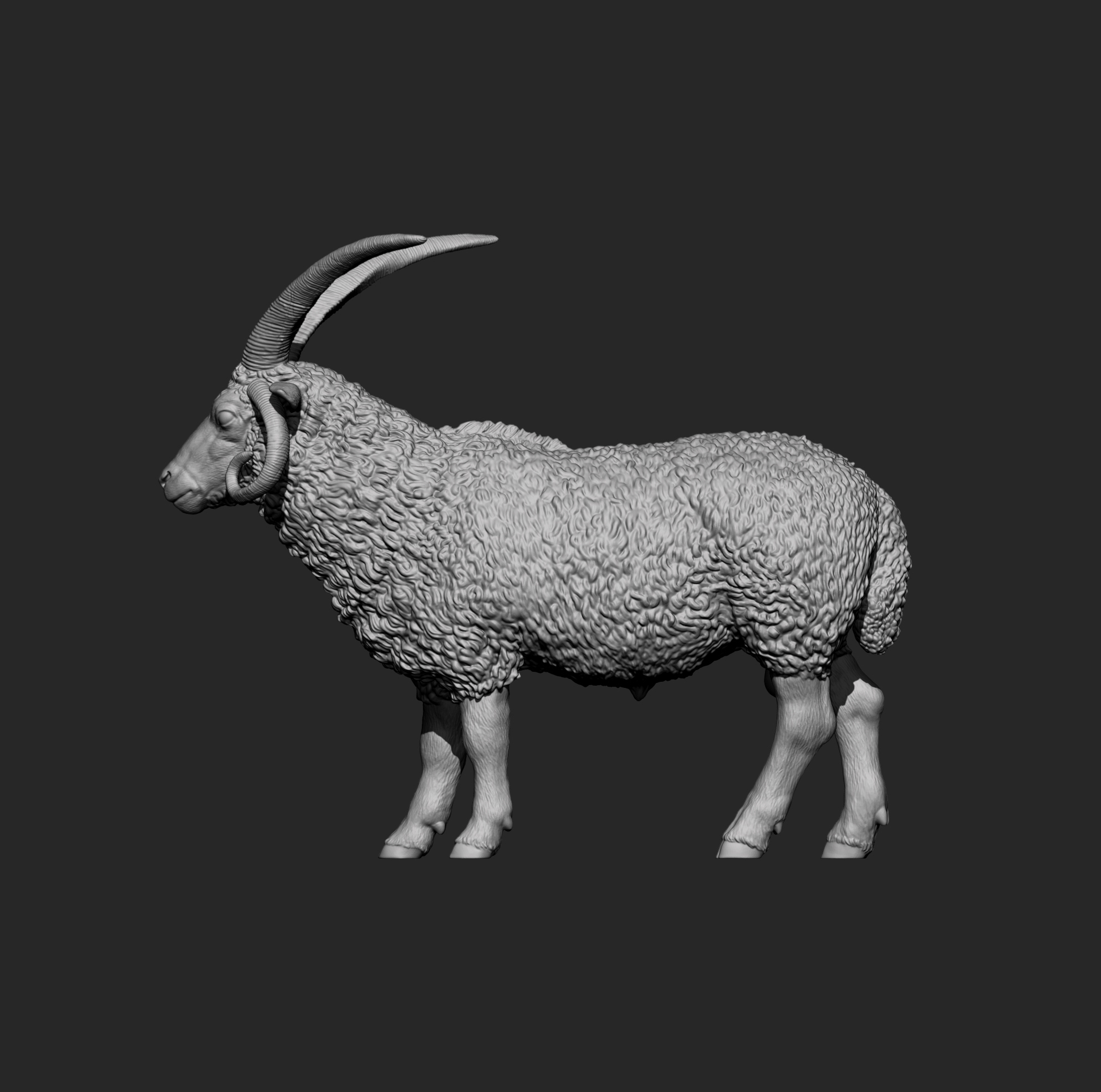 Manx Loaghtan Ram Realistic Four-Horned Sheep STL 3D 3D Model