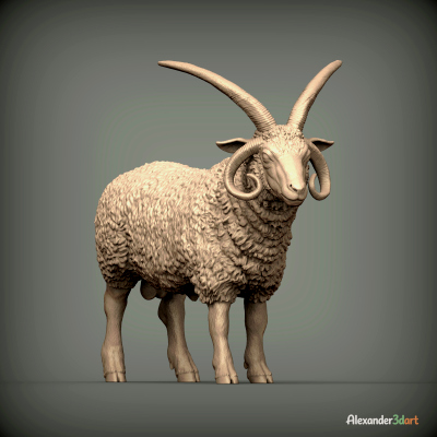 Manx Loaghtan Ram Realistic Four-Horned Sheep STL 3D