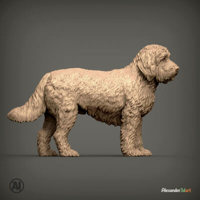 Otterhound Dog