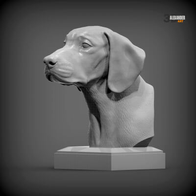 Posavac Hound Bust STL for 3D Printing - Realistic Croatian