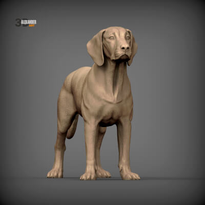Posavac Hound STL for 3D Printing - Realistic Croatian Hunti