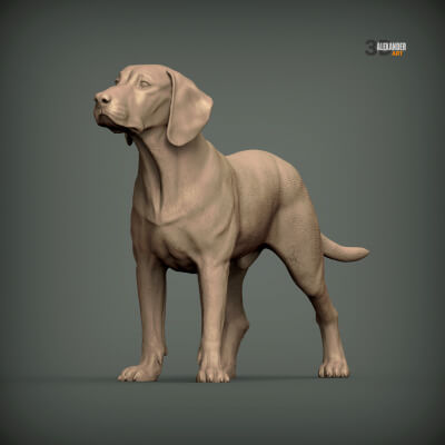 Posavac Hound STL for 3D Printing - Realistic Croatian Hunti