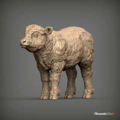 Realistic Highland Calf Sculpture