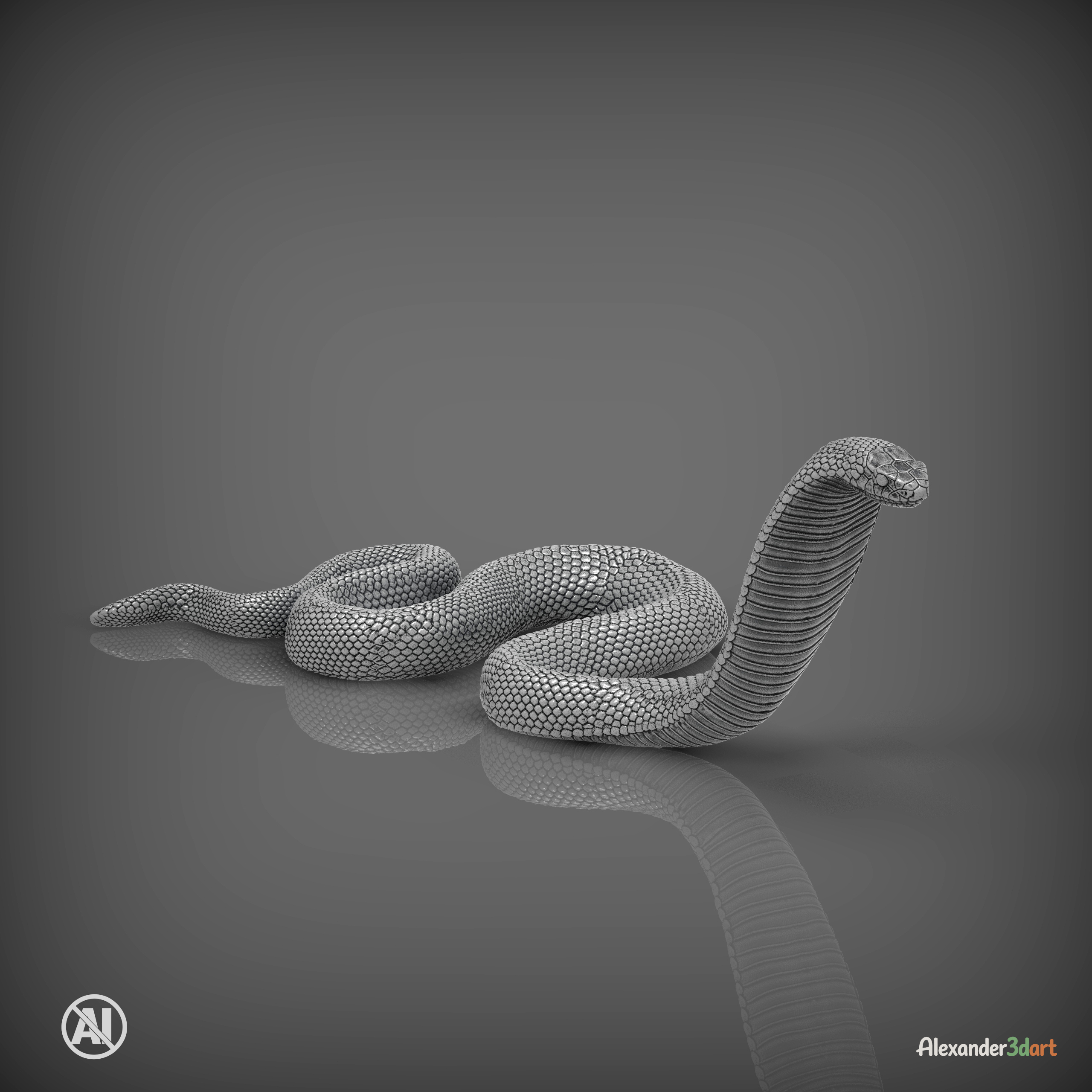 Red-Bellied Black Snake 3D Model