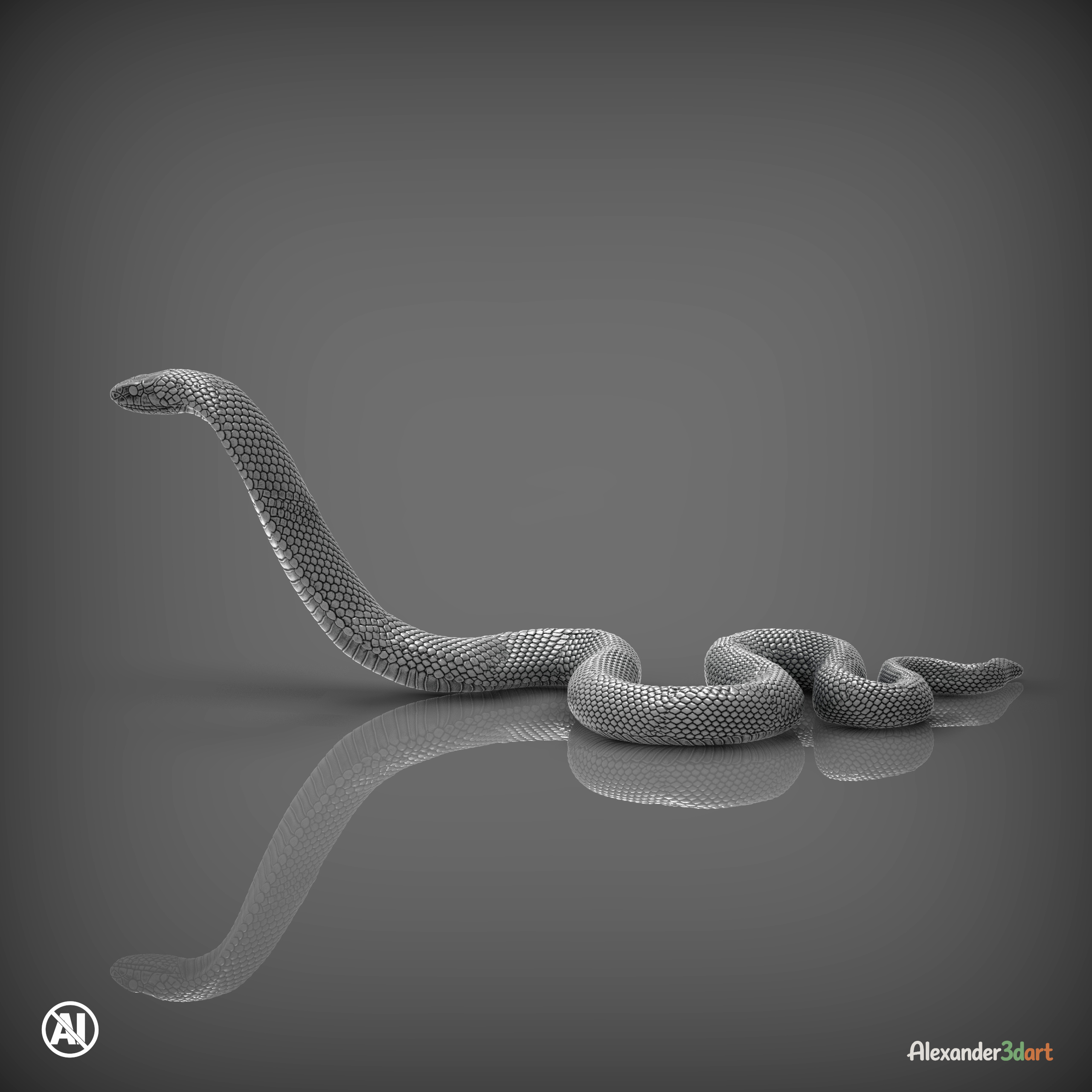 Red-Bellied Black Snake 3D Model