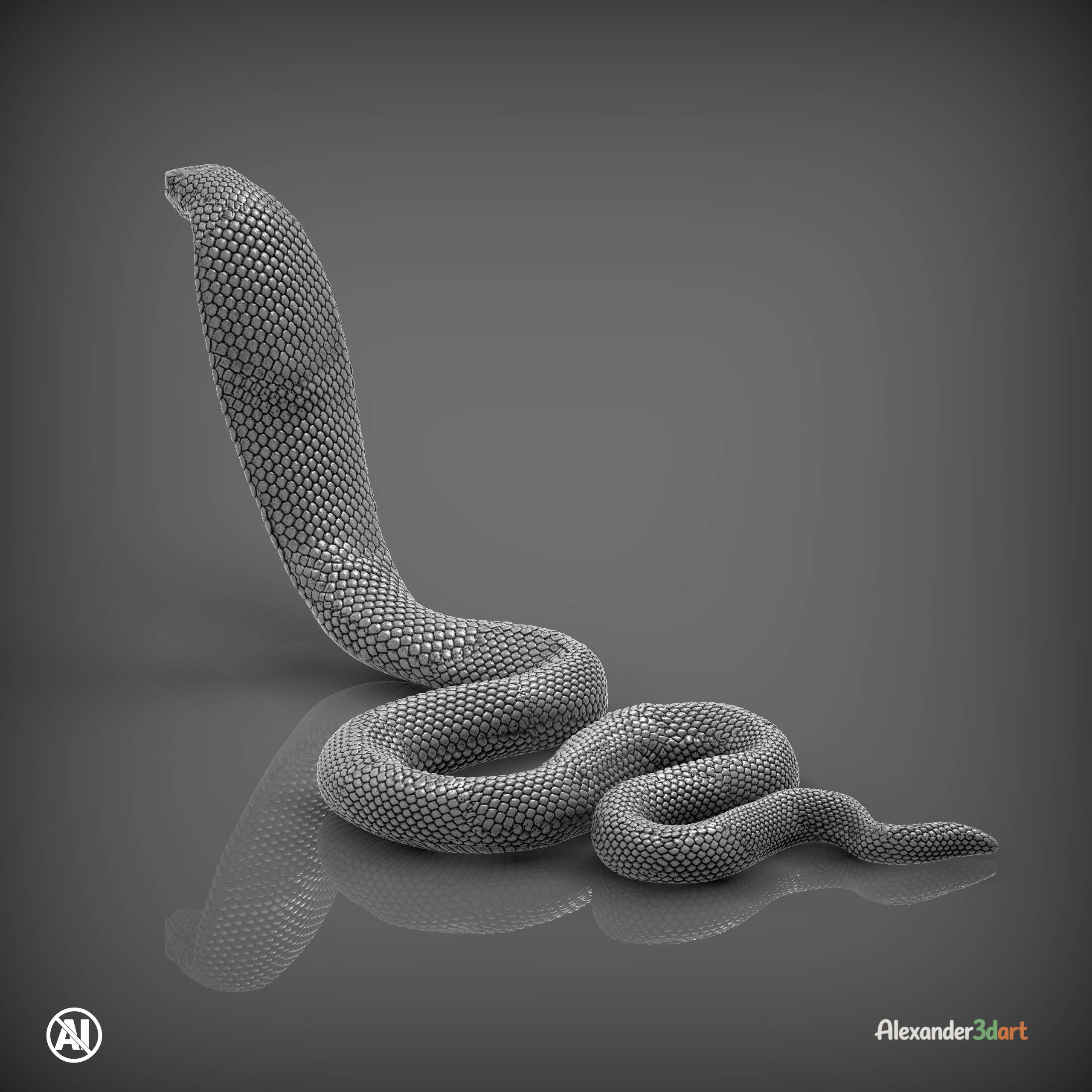 Red-Bellied Black Snake 3D Model