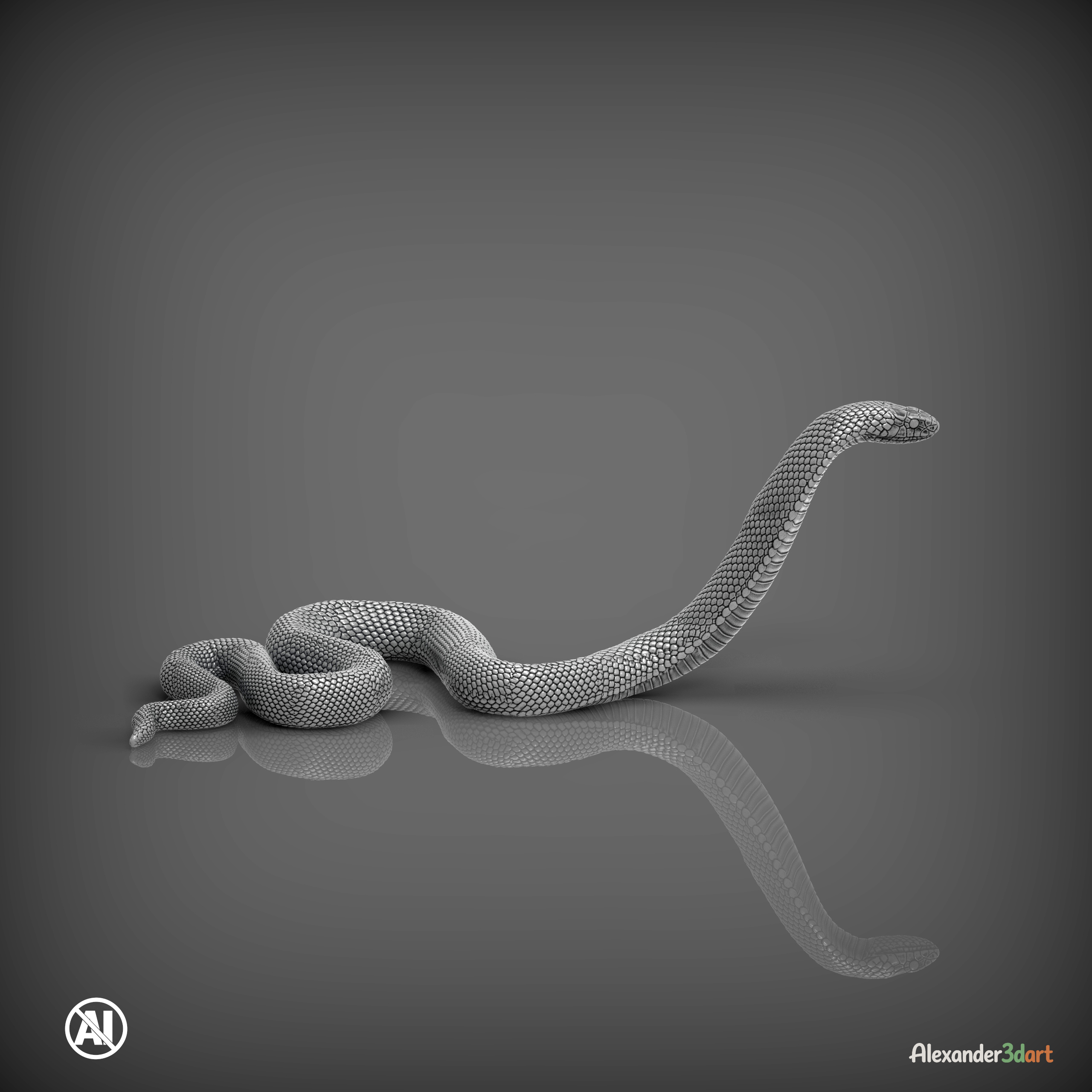Red-Bellied Black Snake 3D Model