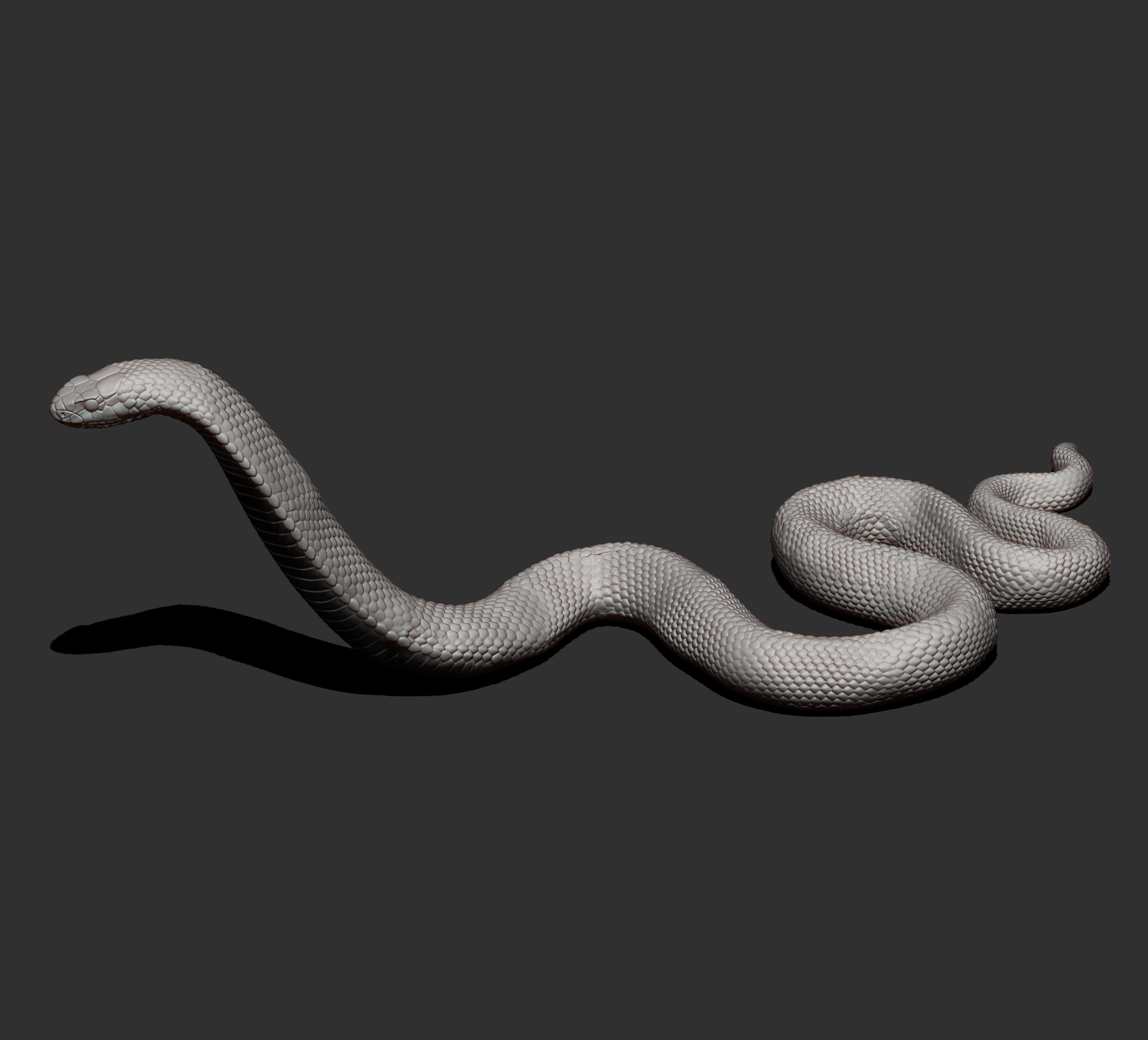 Red-Bellied Black Snake 3D Model