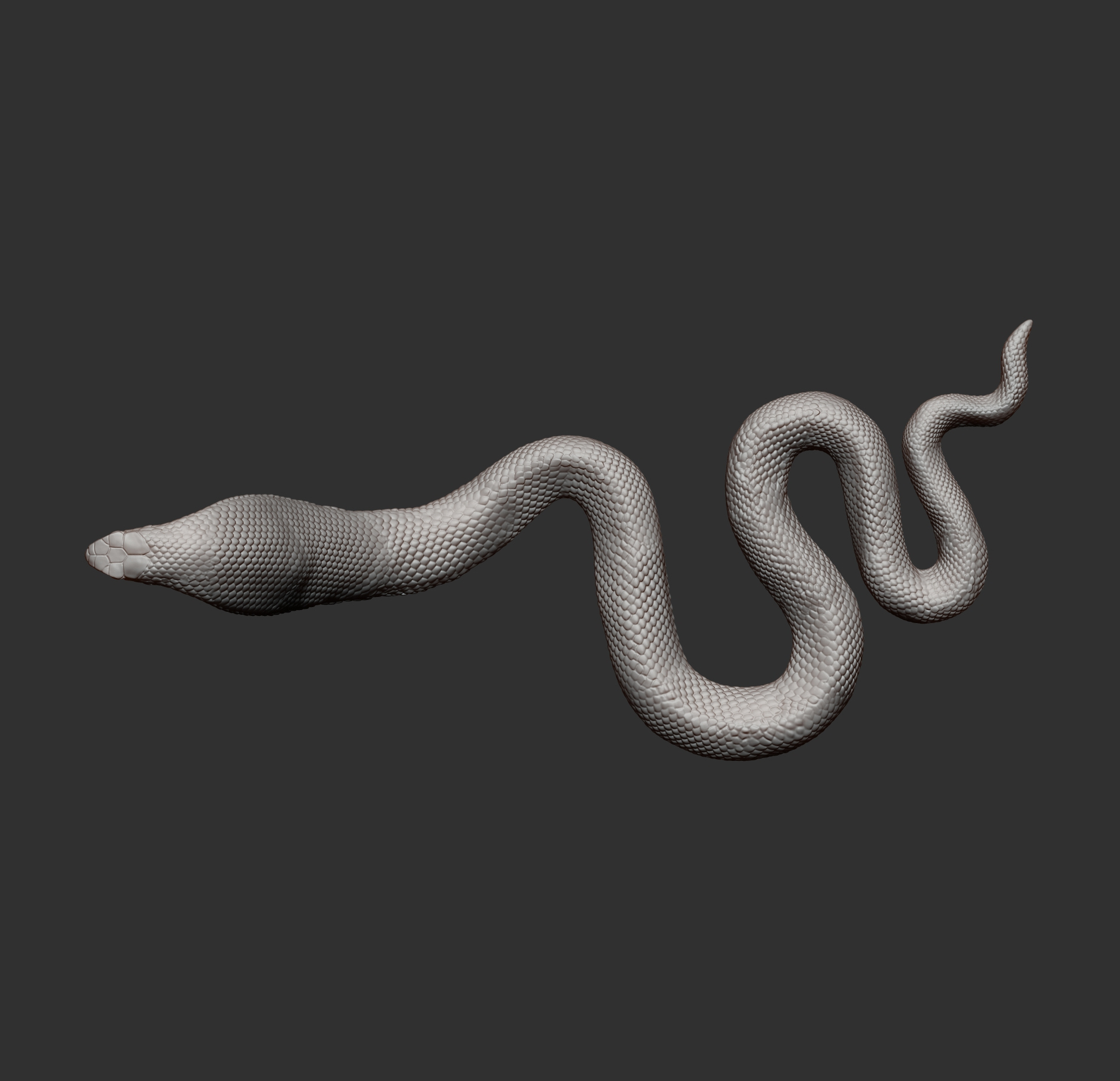 Red-Bellied Black Snake 3D Model
