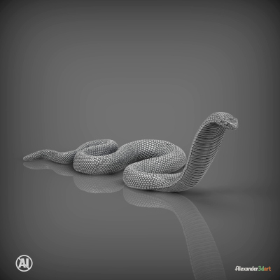 Red-Bellied Black Snake