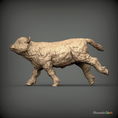 Running Highland Calf Sculpture