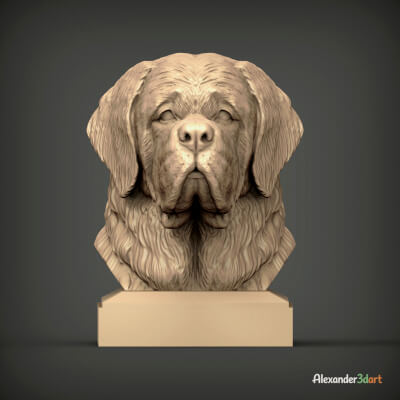 St Bernard Bust