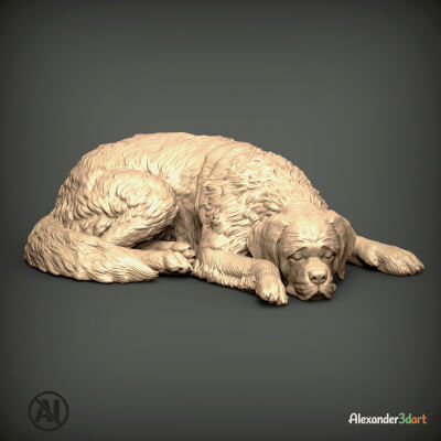 Sleeping Saint Bernard Dog