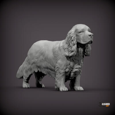 Sussex Spaniel