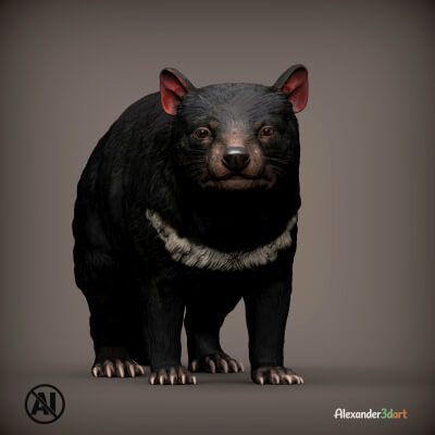 Tasmanian Devil