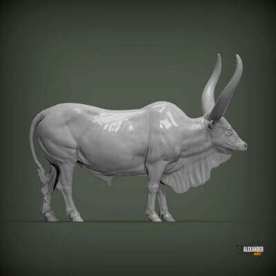 Watusi Bull Sculpture