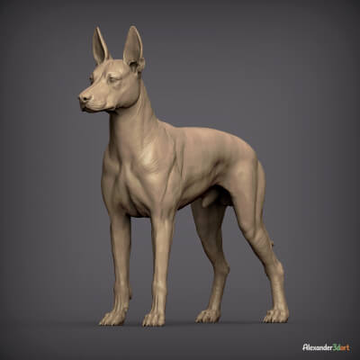 Xoloitzcuintli Dog STL for 3D Printing