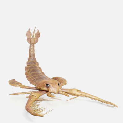 Prehistoric Jaekelopterus Sea Scorpion