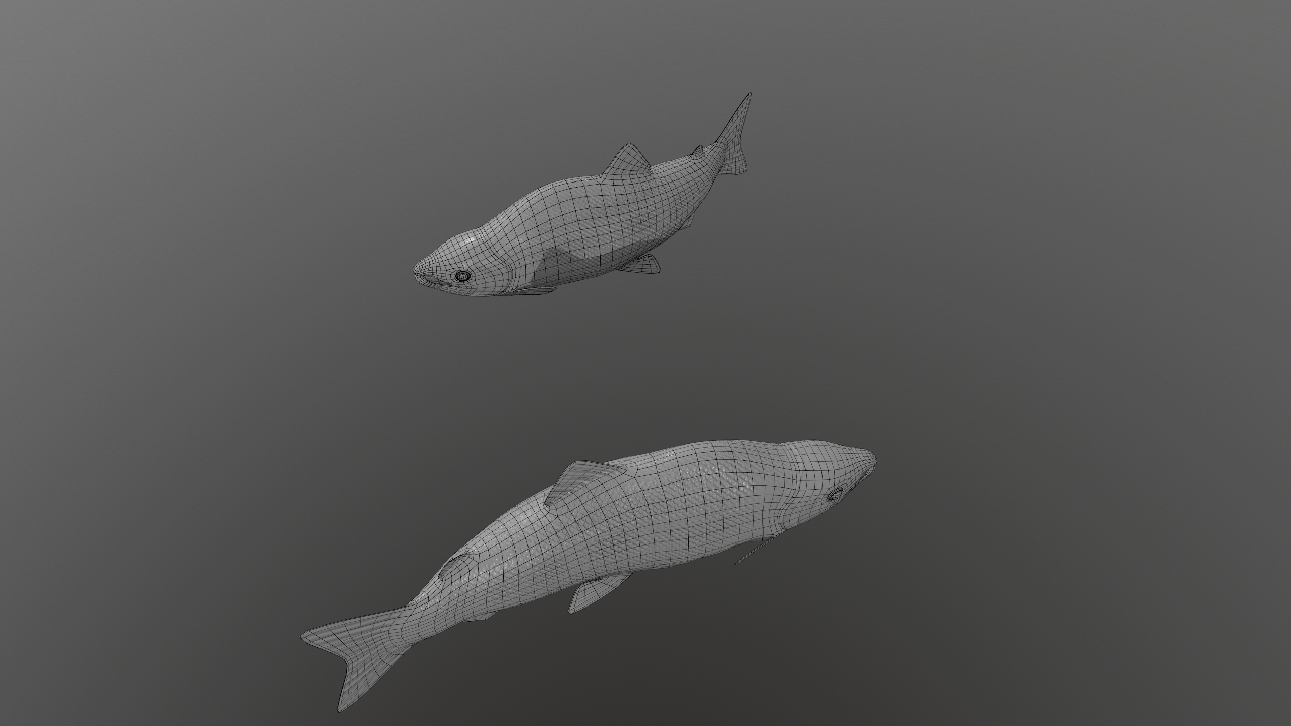 Pink Salmon Fish Rigged and Animated 3D Model