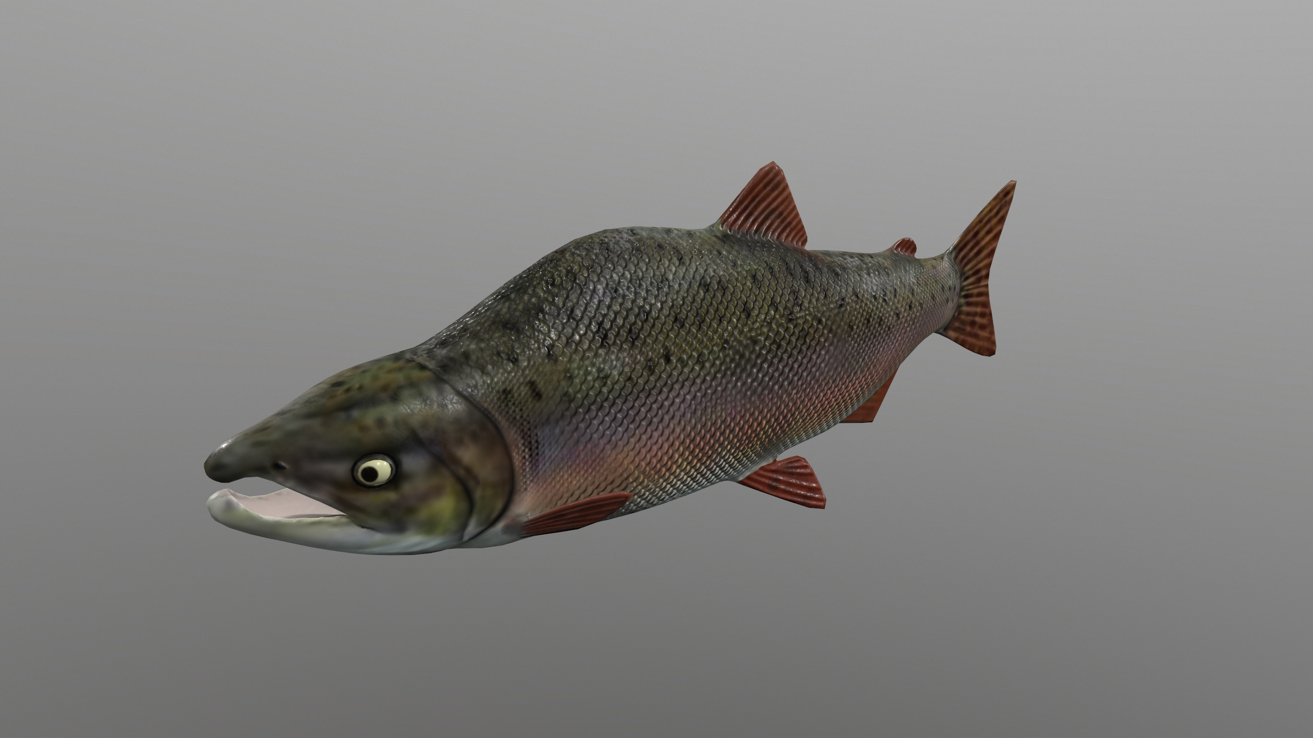 Pink Salmon Fish Rigged and Animated 3D Model