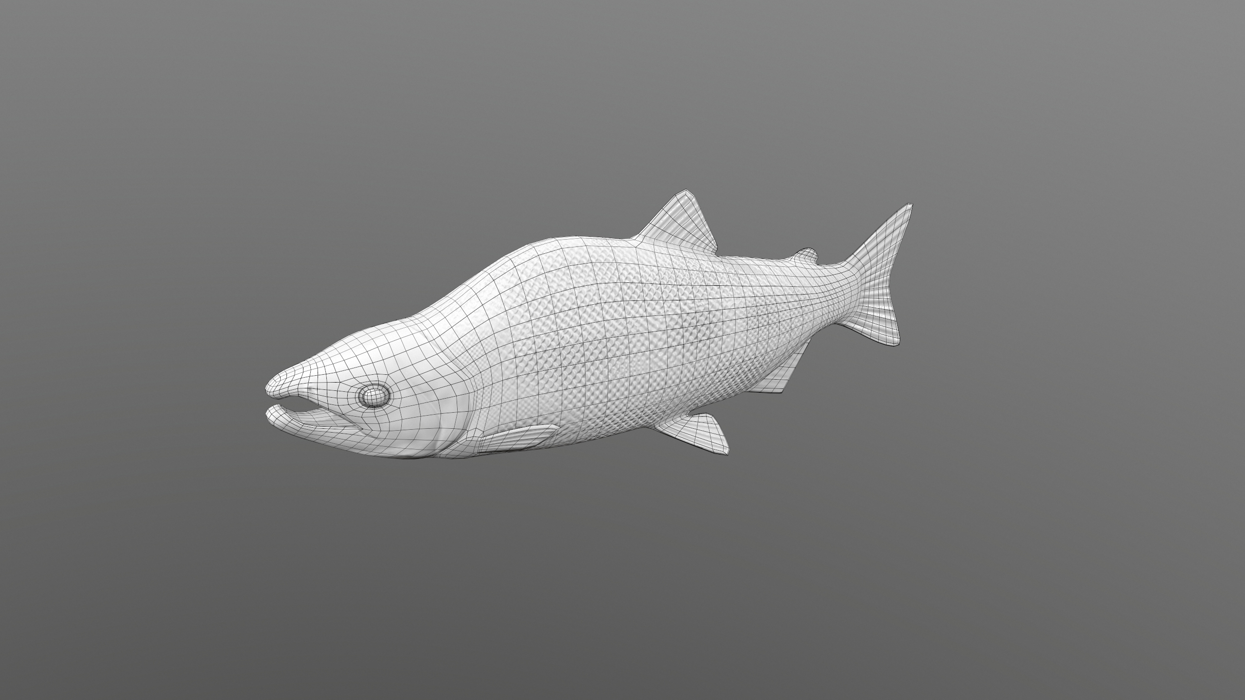 Pink Salmon Fish Rigged and Animated 3D Model