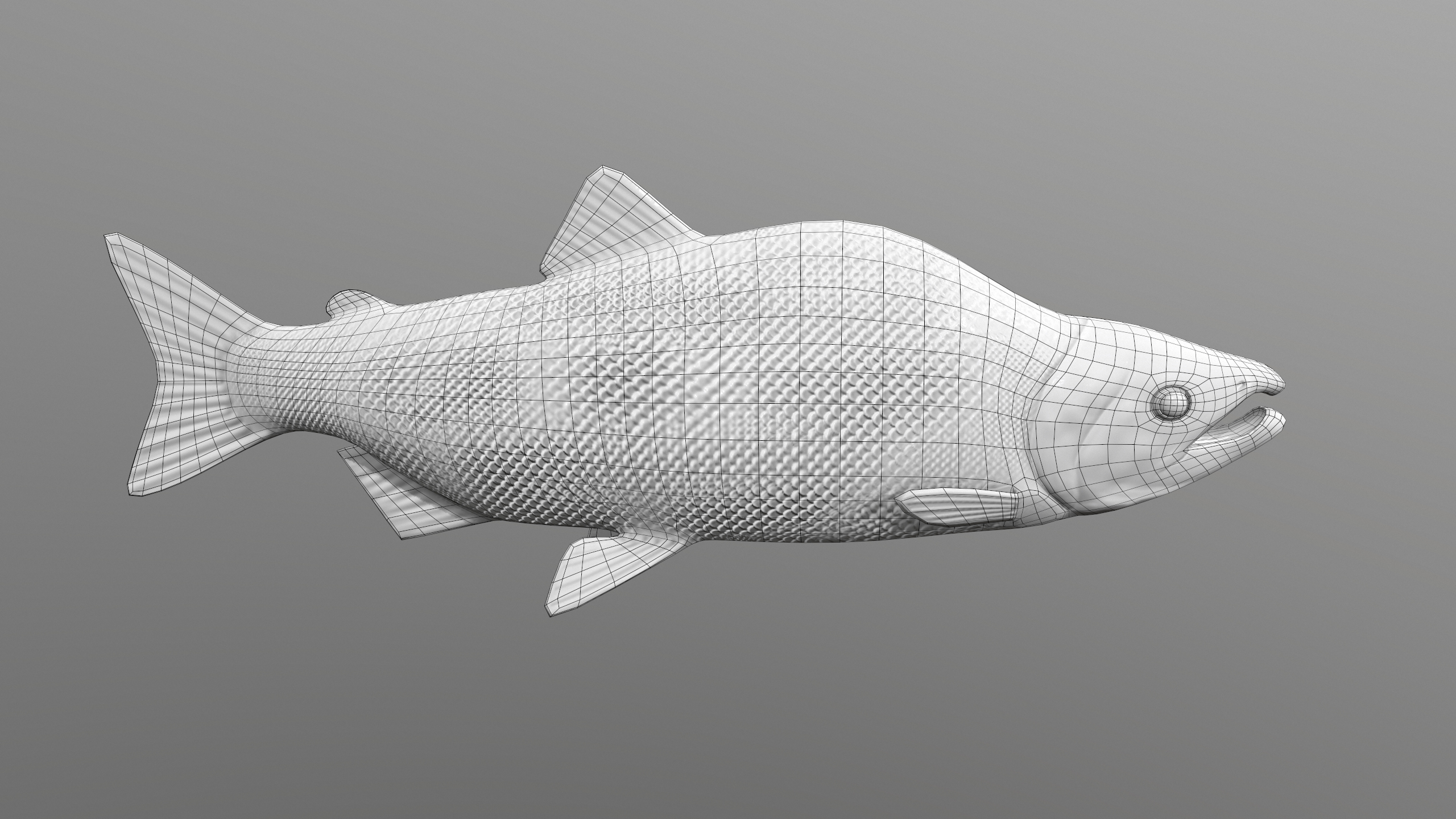 Pink Salmon Fish Rigged and Animated 3D Model