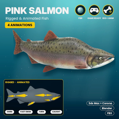 Pink Salmon Fish Rigged and Animated