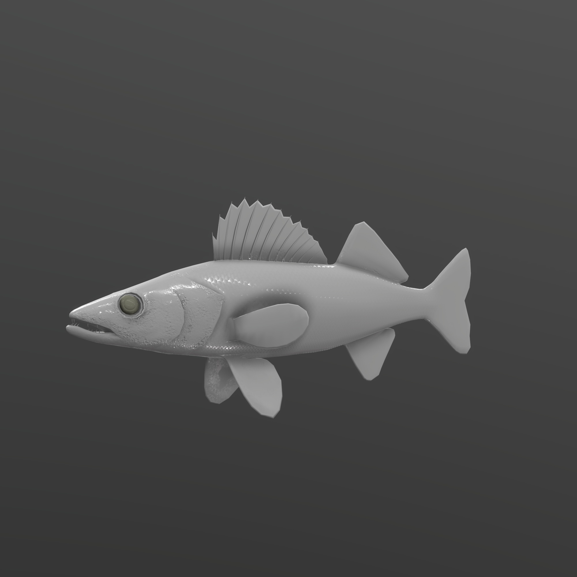 Walleye Fish Rigged and Animated 3D Model