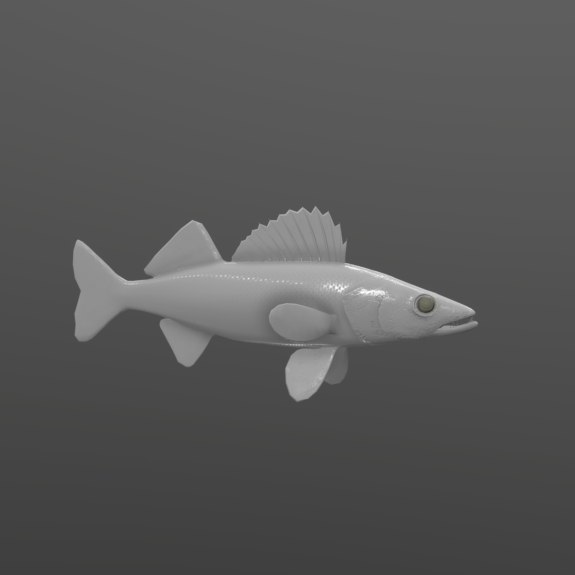Walleye Fish Rigged and Animated 3D Model