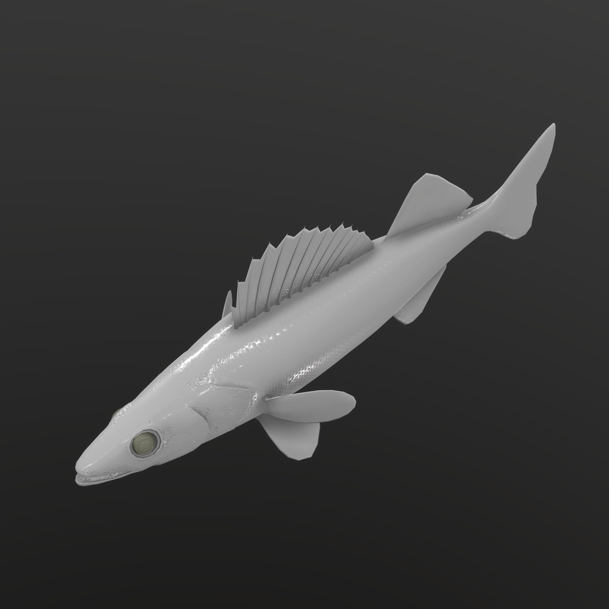 Walleye Fish Rigged and Animated 3D Model