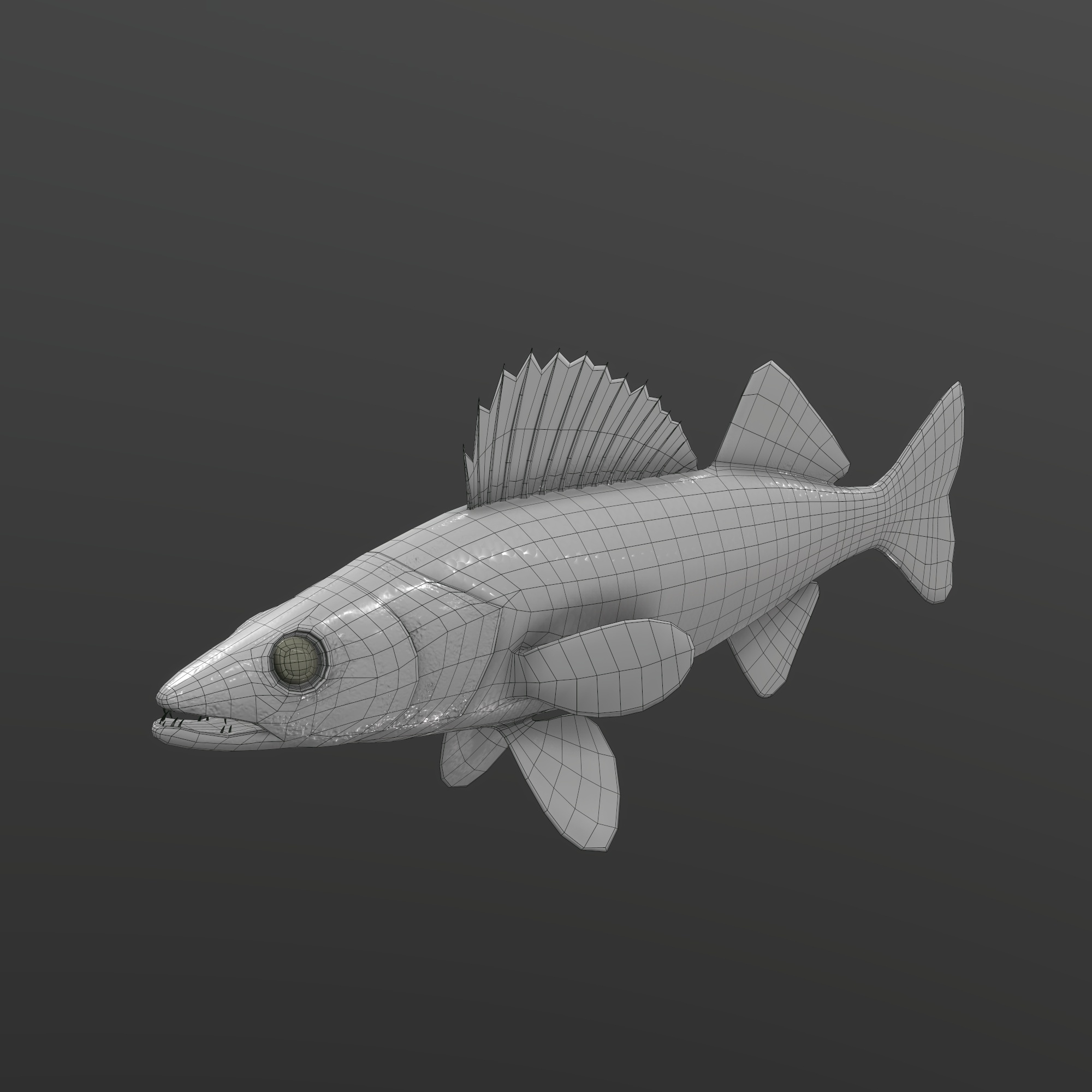Walleye Fish Rigged and Animated 3D Model