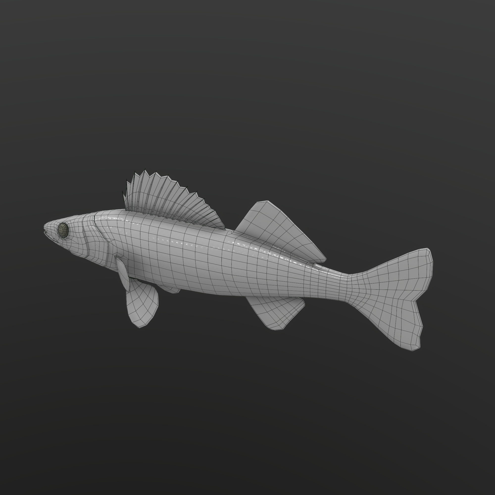 Walleye Fish Rigged and Animated 3D Model