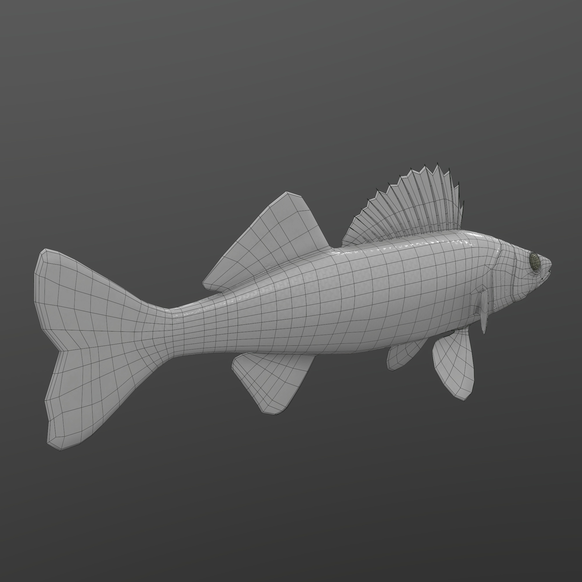 Walleye Fish Rigged and Animated 3D Model