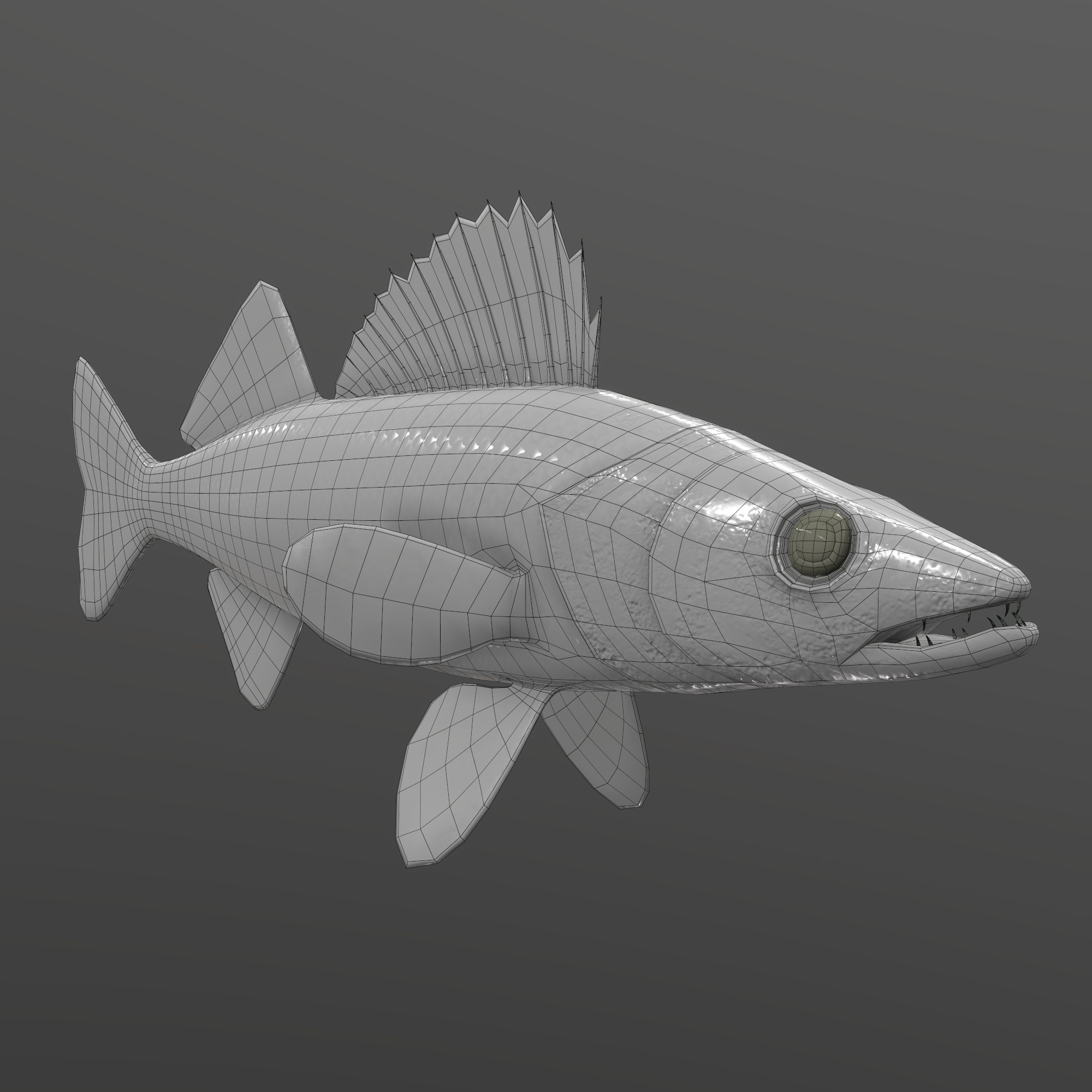 Walleye Fish Rigged and Animated 3D Model