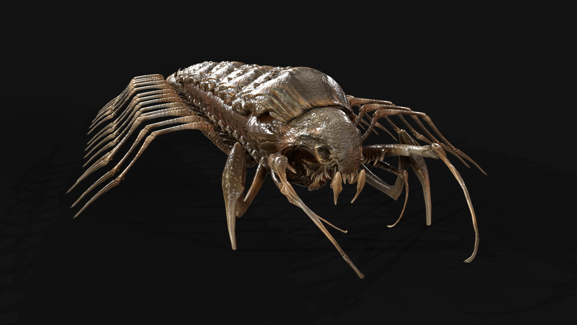 Cave Centipede 3D Model