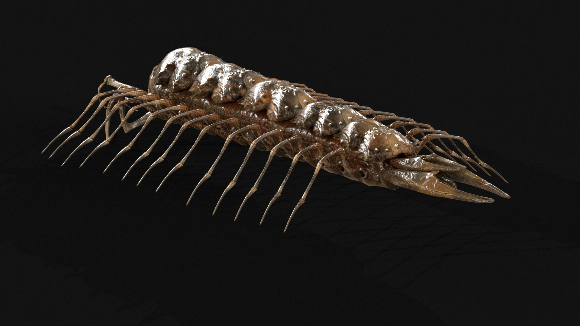 Cave Centipede 3D Model