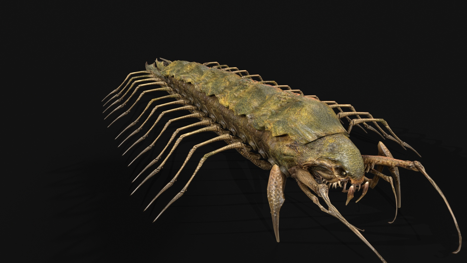 Cave Centipede 3D Model