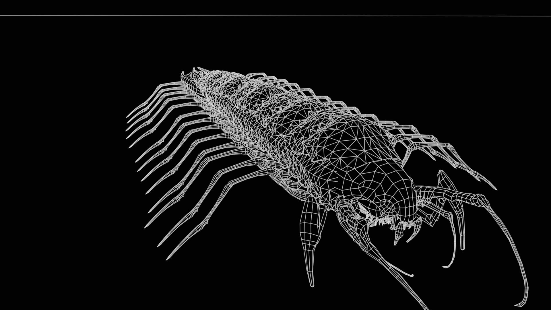 Cave Centipede 3D Model