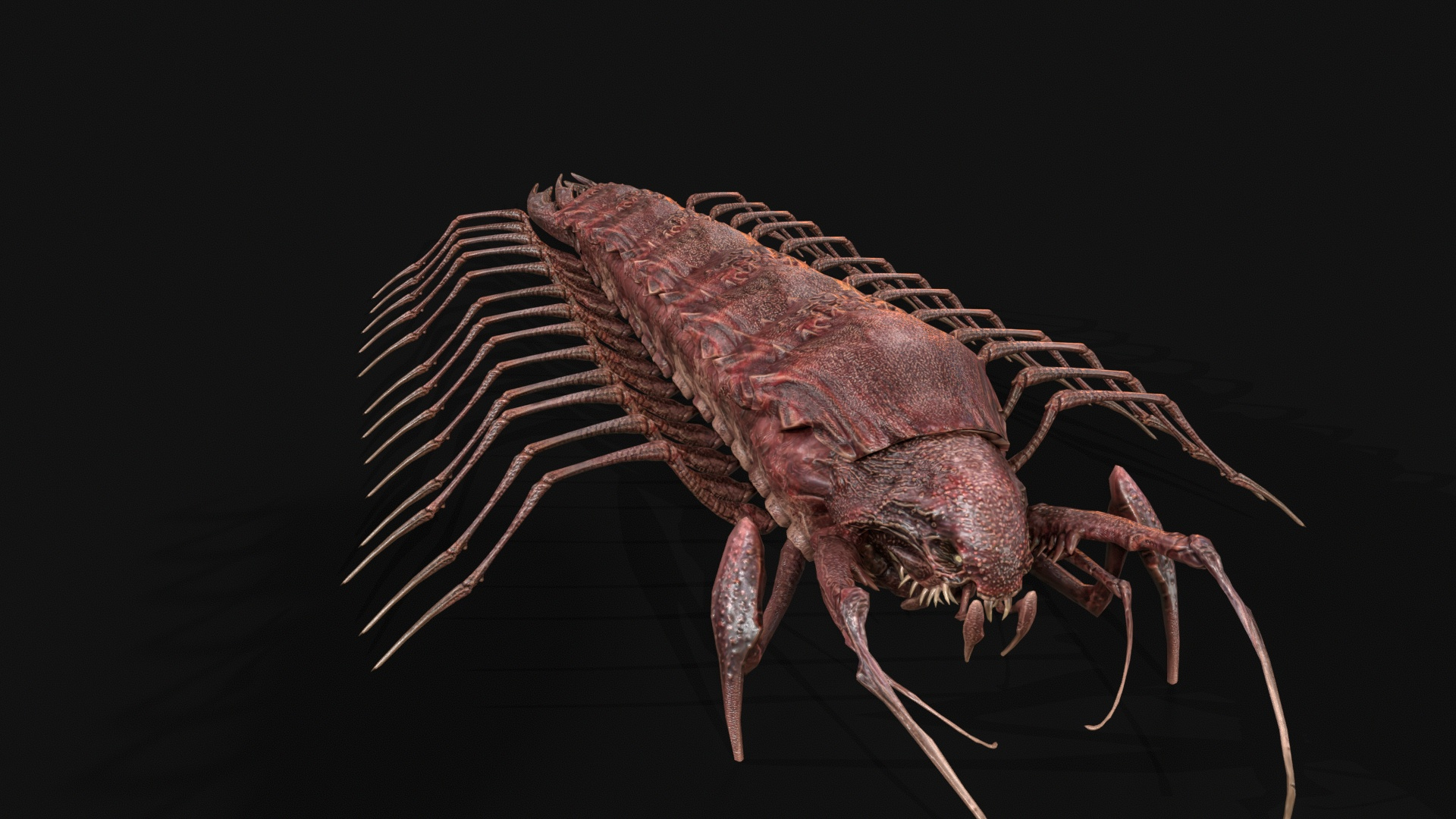 Cave Centipede 3D Model
